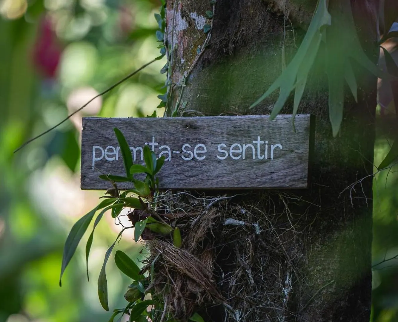 *** Estalagem Pousada Do Bosque Porto Seguro Brasil